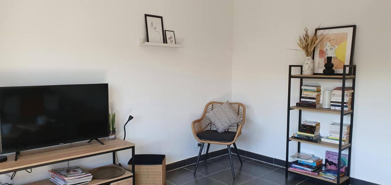 Studio Et Appartement A 2 Pas De La Cite Carcassonne Buitenkant foto